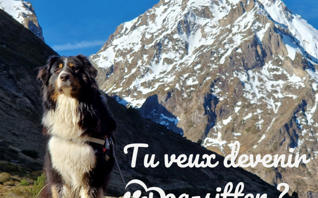 Devenez Dog sitter dans les Hautes-Pyrénées