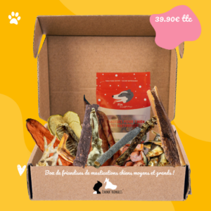 Box de mastication chien moyens