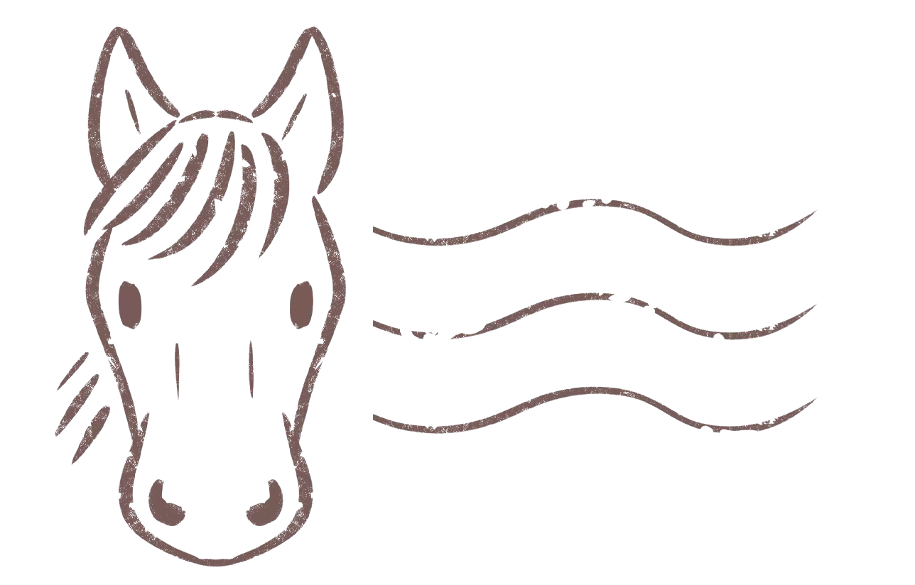 Tampon_poney